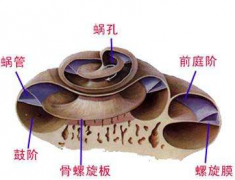 爆震性耳聋的症状表现及其治疗方法有哪些？