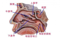 鼻窦气压性创伤的症状表现及其治疗方法有哪些？