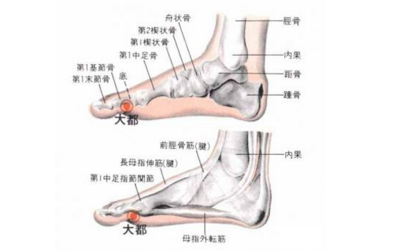 大都穴的功效与作用有哪些