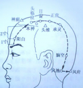 本神穴的准确位置及其本神穴的按摩方法！