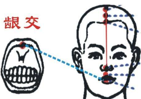 龈交穴作用