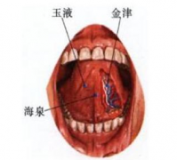 玉液穴的按摩手法有哪些？玉液穴的主治病症