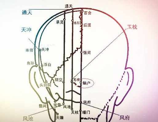 脑户穴主治疾病