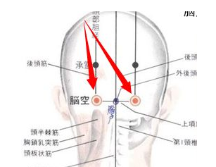 脑空穴的功效