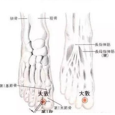 大敦穴的准确位置及按摩大敦穴的好处有哪些？