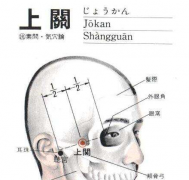 上关穴的功效与作用及其上关穴的针灸方法图解！