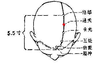 通天穴的位置