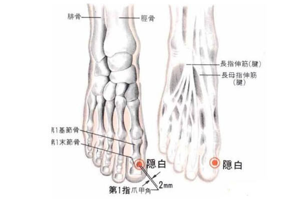 隐白穴的图片