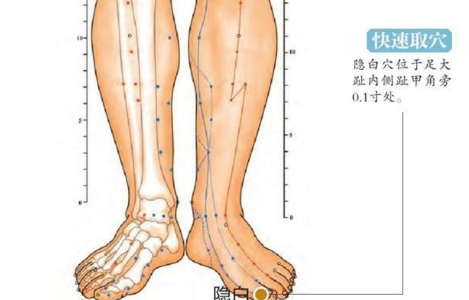 隐白穴取穴方法