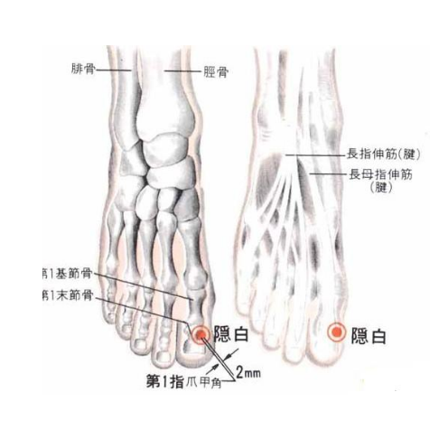 隐白穴的准确位置及艾灸隐白穴的功效与作用有哪些？