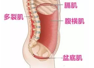 腹直肌鞘内血肿的症状