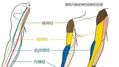 副神经损伤检查