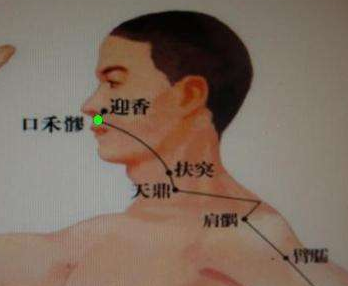 口禾髎穴的图片