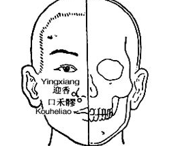 口禾髎穴示意图