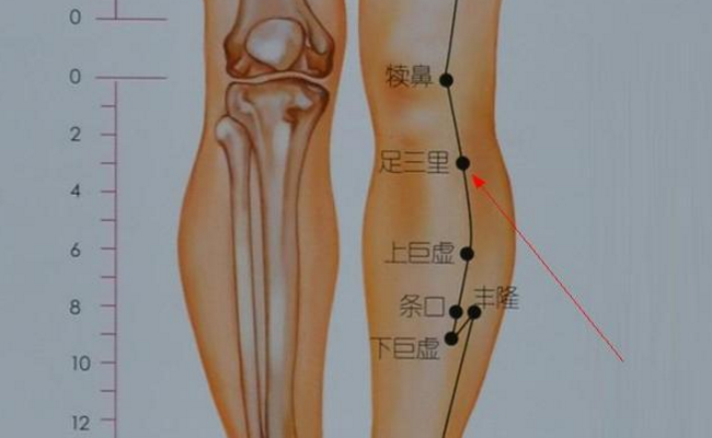 足三里穴主治疾病