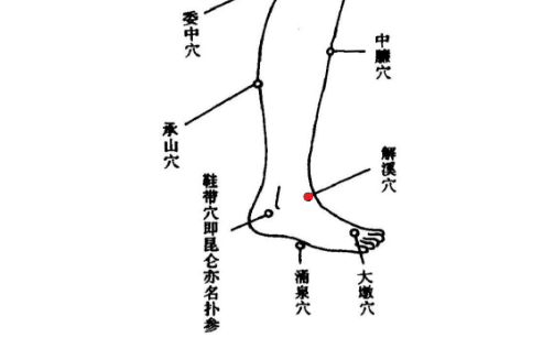 解溪穴位置