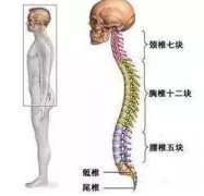 棘突骨折够得上伤残吗?棘突骨折的治疗方法