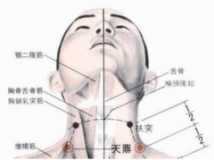 天鼎穴的功效与作用及其天鼎穴位置图解！