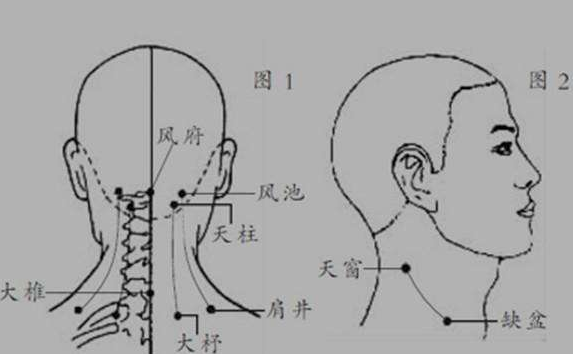 天窗穴的示意图