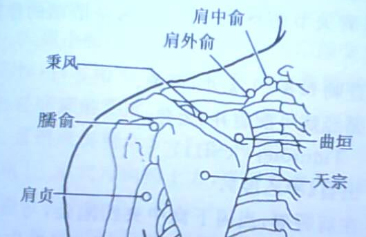 按摩天窗穴