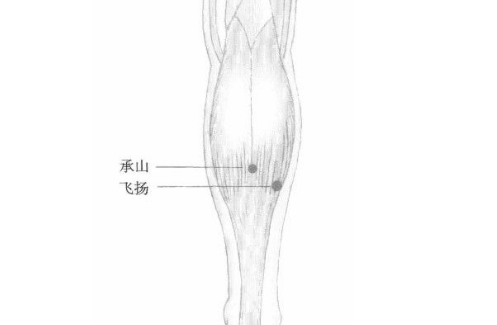 飞扬穴的取穴方法