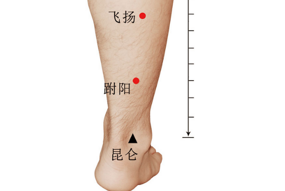 飞扬穴的功效与作用