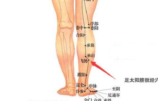 飞扬穴主治疾病有哪些