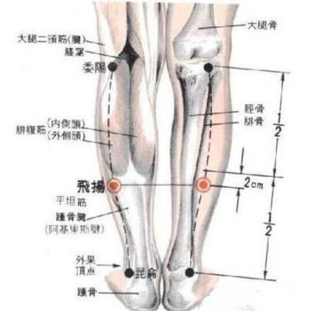 飞扬穴可治疗关节疼痛？它的具体位置及其功效与作用有哪些？