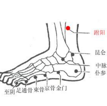 跗阳穴疼痛怎么回事？它的准确位置及其功效与作用有哪些？