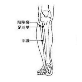 如何定位阳陵泉穴？其准确位置及按摩的功效与作用有哪些？