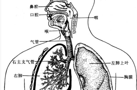 多系统器官功能衰竭的症状表现