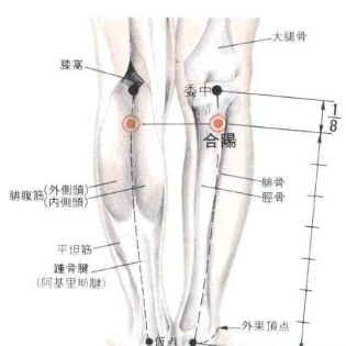 合阳穴疼痛怎么办？其准确位置及功效与作用有哪些？