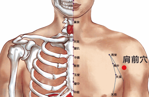 肩前穴的示意图