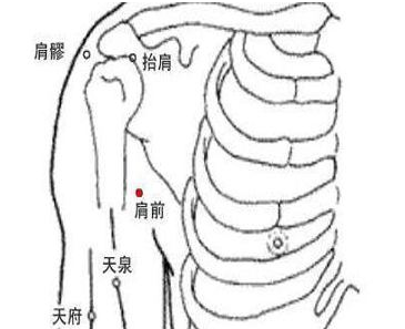 肩前穴位位置