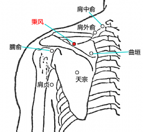 秉风穴位位置