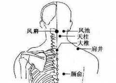 臑俞穴的功效与作用及其臑俞穴主治疾病介绍！