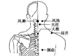 臑俞穴位位置示意图