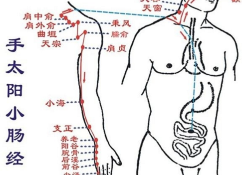 臑俞穴配伍应用