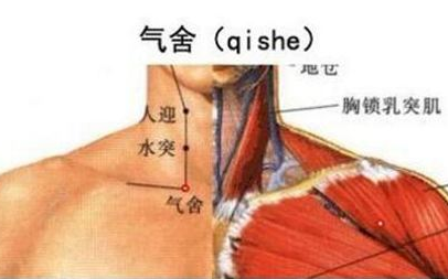 气舍穴准确位置