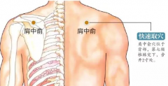 肩中俞穴准确位置及其按摩肩中俞穴的好处！