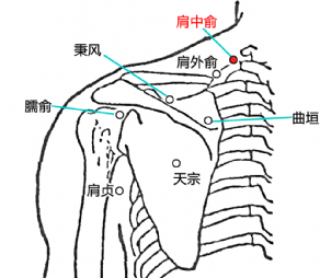 肩中俞穴准确位置