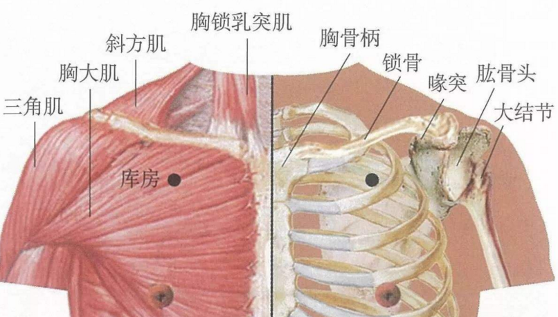 气户穴的图片