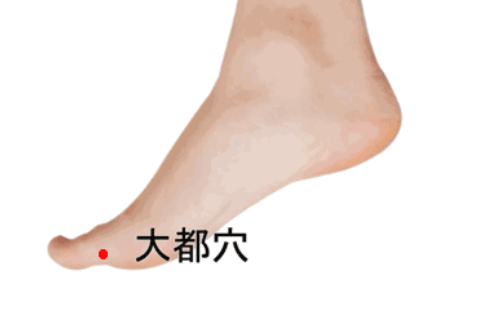 大都穴的位置