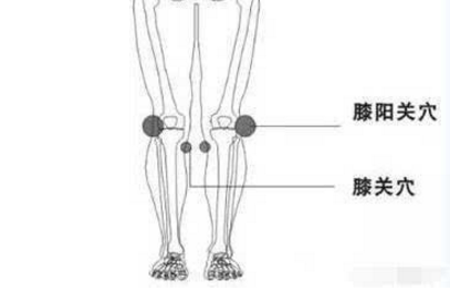 膝阳关穴图片