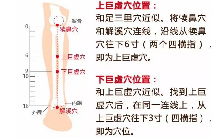 下巨虚穴的准确位置