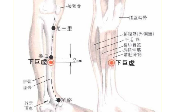 下巨虚穴的标准定位