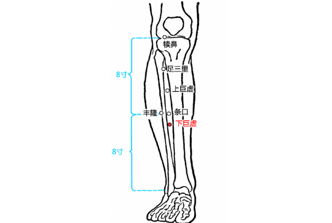 按摩下巨虚穴的好处