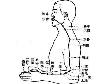 上廉穴位的功效与作用