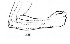上廉穴的刺灸法