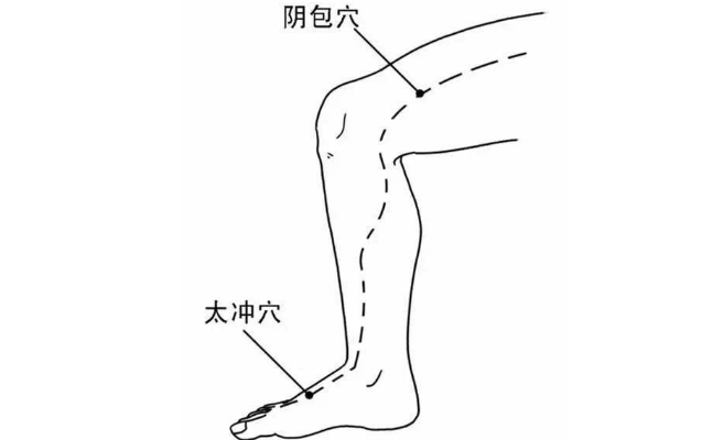 阴包穴的取穴方法